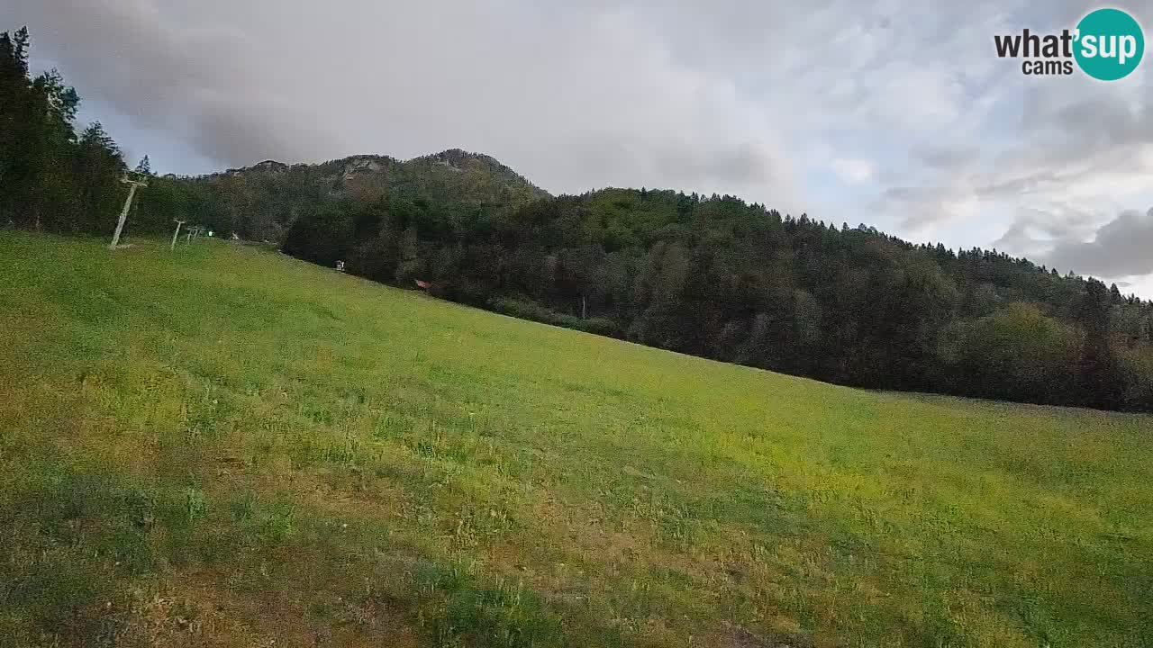 Comprensorio sciistico Kranjska Gora | Brsnina