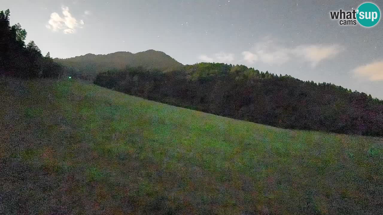 Comprensorio sciistico Kranjska Gora | Brsnina