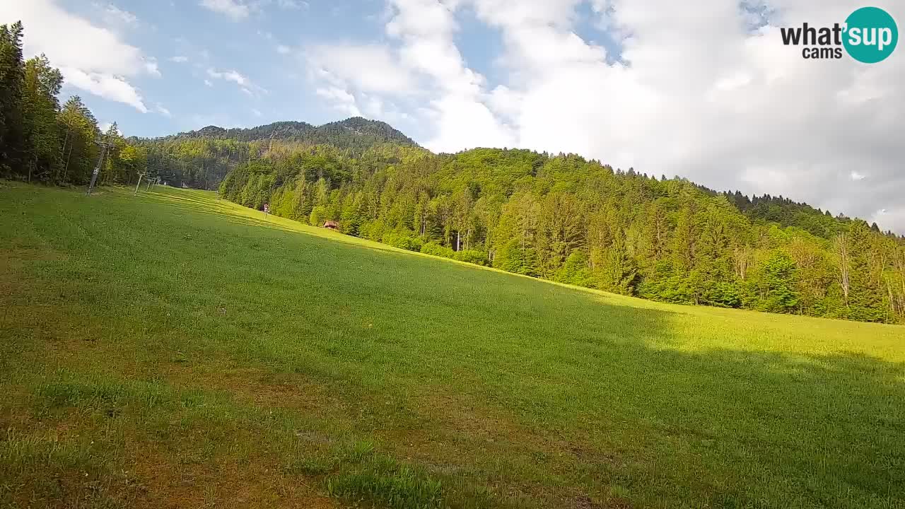 RTC Skigebiet Kranjska Gora | Brsnina