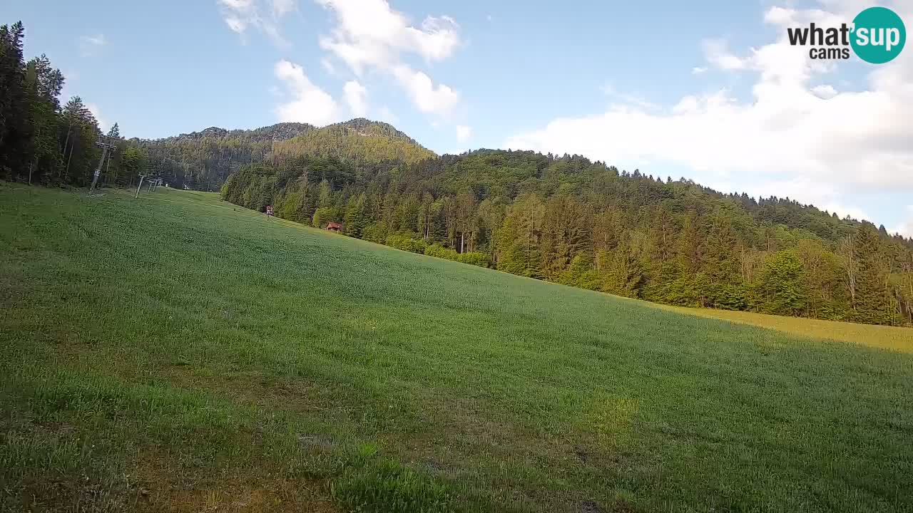 Esquí Kranjska Gora | Brsnina