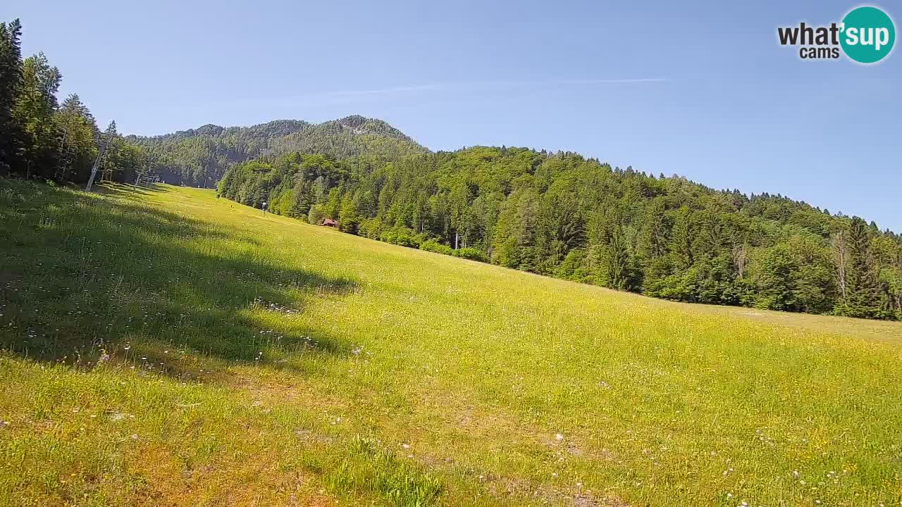 Ski Kranjska Gora | Brsnina