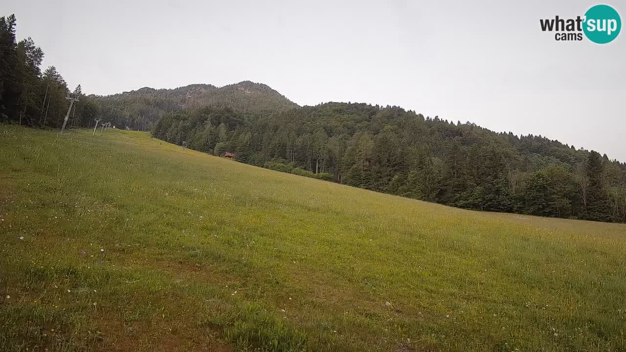 Comprensorio sciistico Kranjska Gora | Brsnina