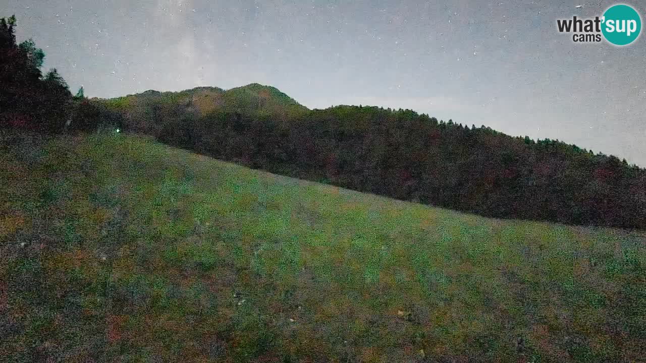 Ski Kranjska Gora | Brsnina