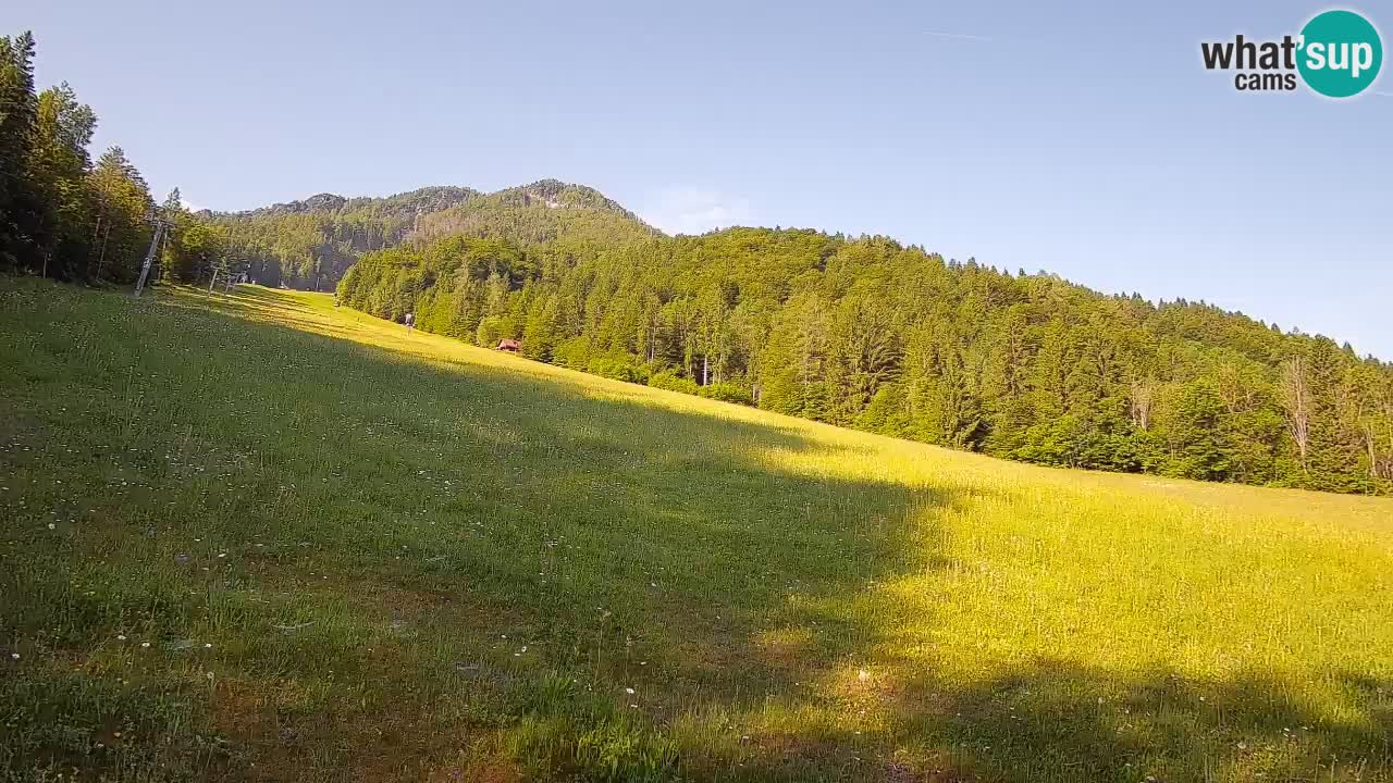 RTC Kranjska Gora | Brsnina