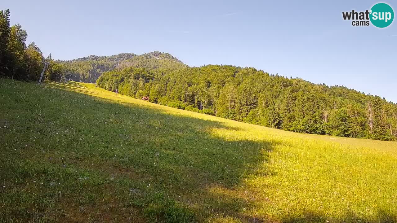 Ski Kranjska Gora | Brsnina