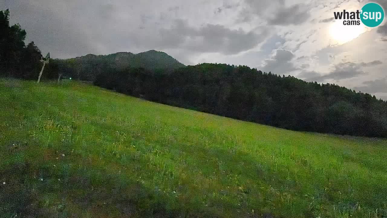 Kranjska Gora Station de ski | Brsnina