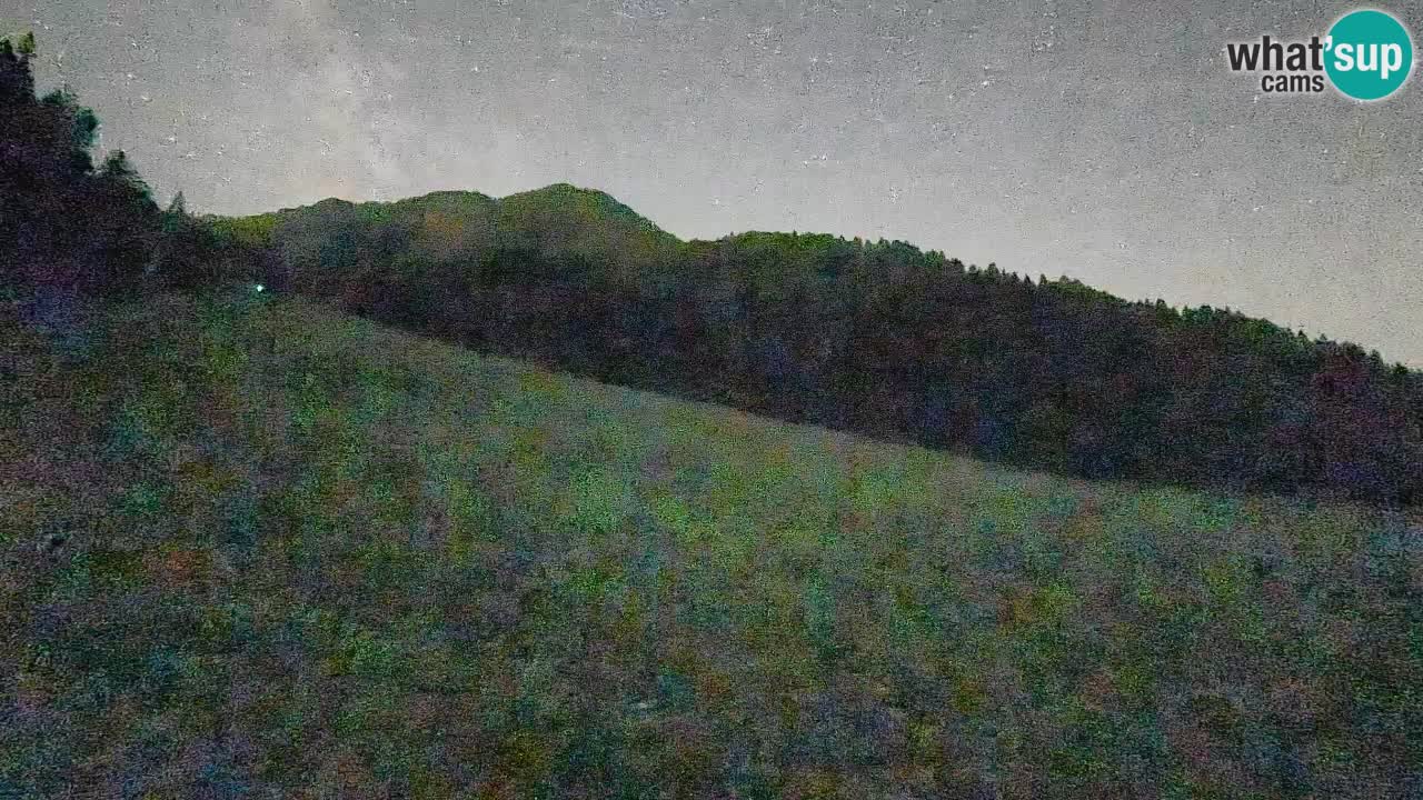 Ski Kranjska Gora | Brsnina