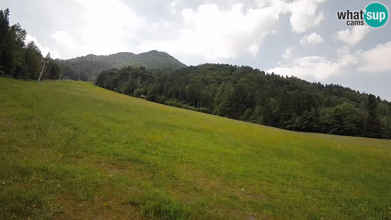 Ski Kranjska Gora | Brsnina