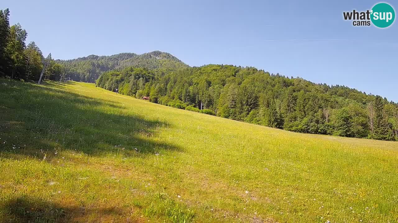 Comprensorio sciistico Kranjska Gora | Brsnina