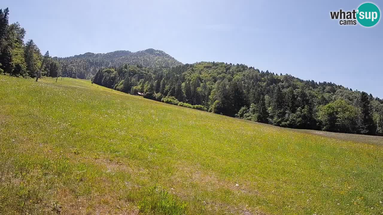Kranjska Gora Station de ski | Brsnina