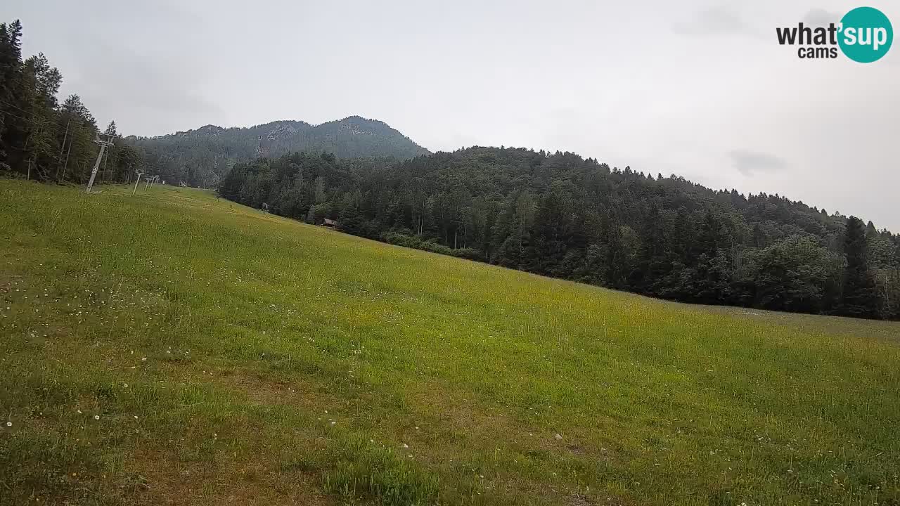 Ski Kranjska Gora | Brsnina