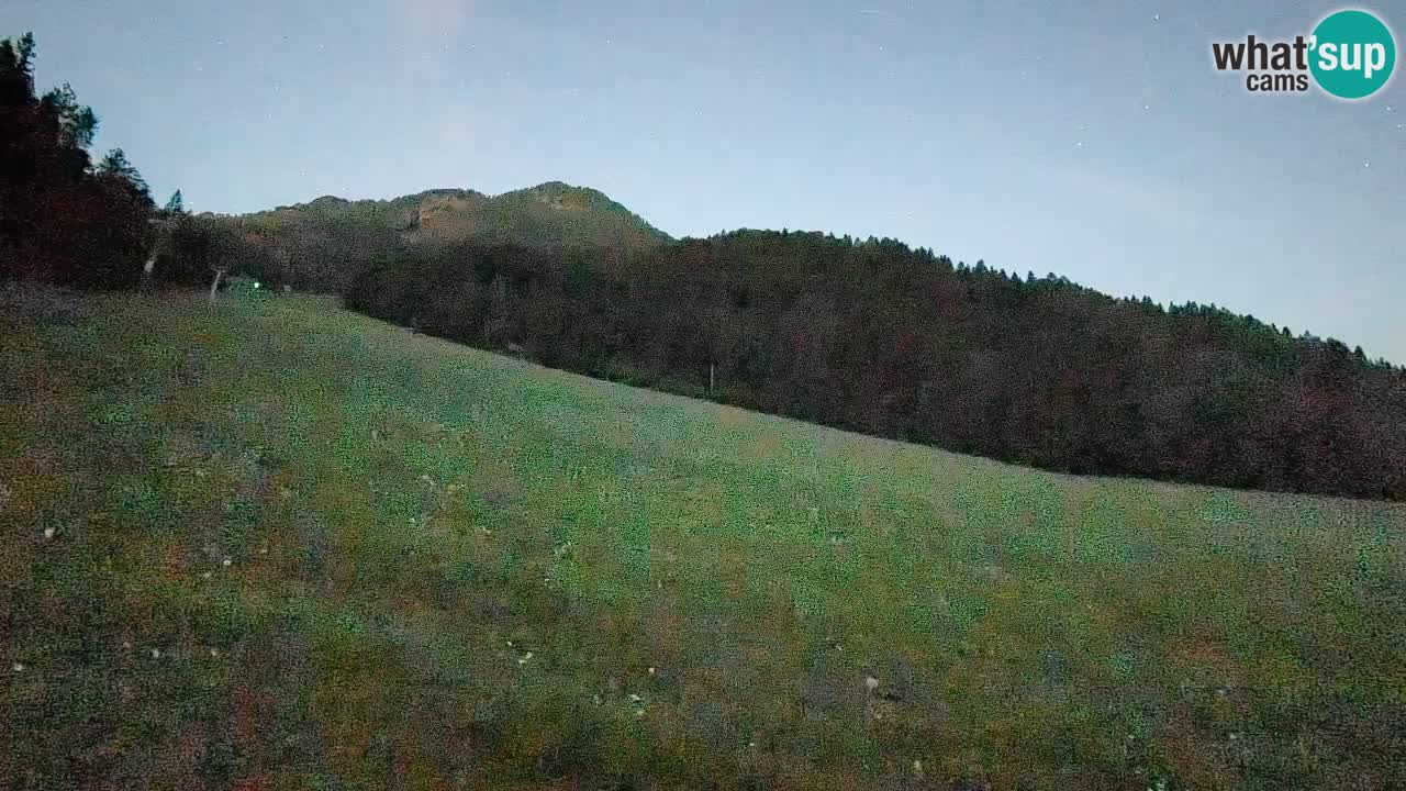 Ski Kranjska Gora | Brsnina
