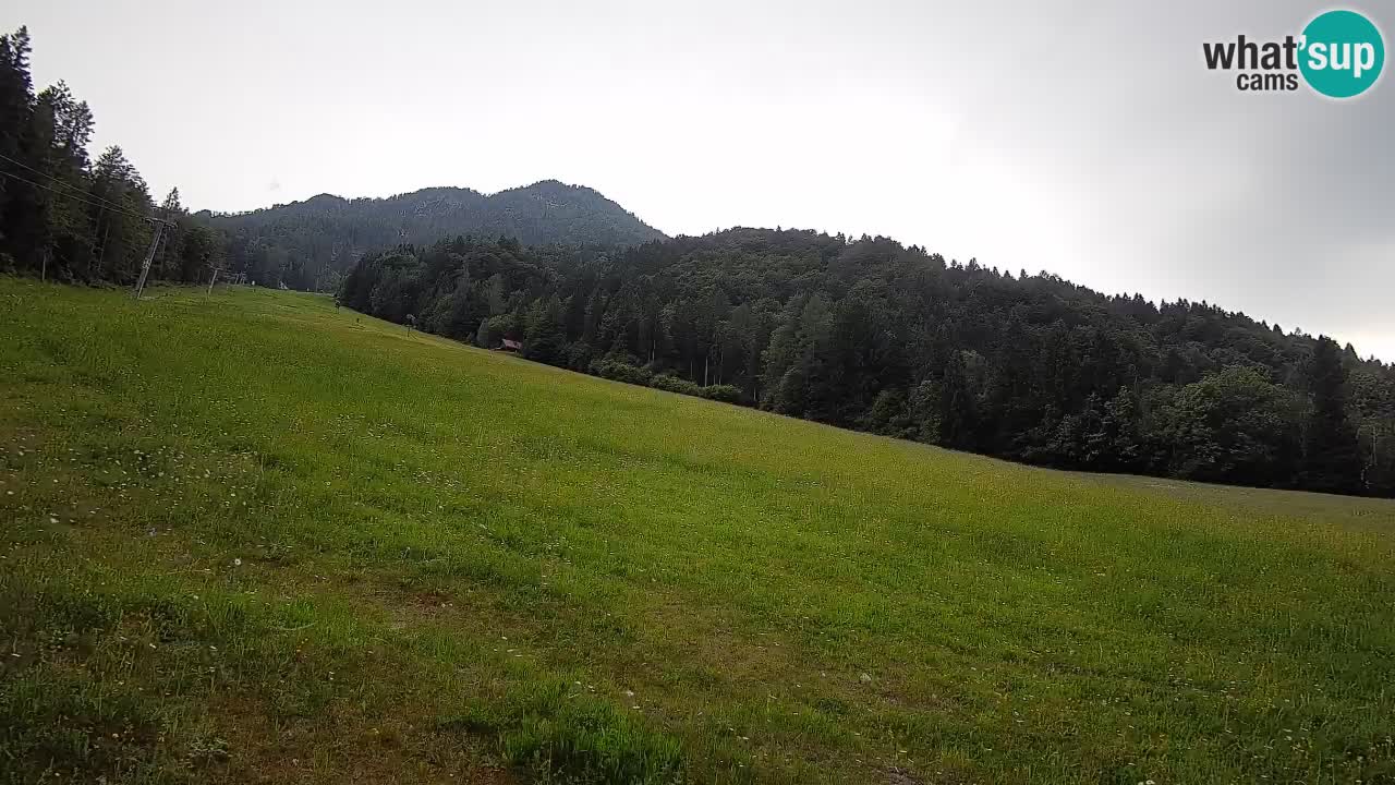 RTC Skigebiet Kranjska Gora | Brsnina