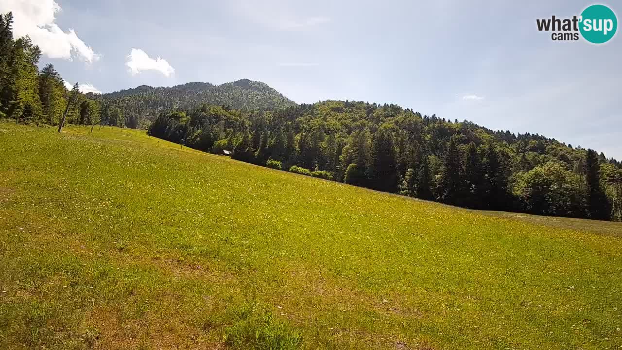 Kranjska Gora Station de ski | Brsnina