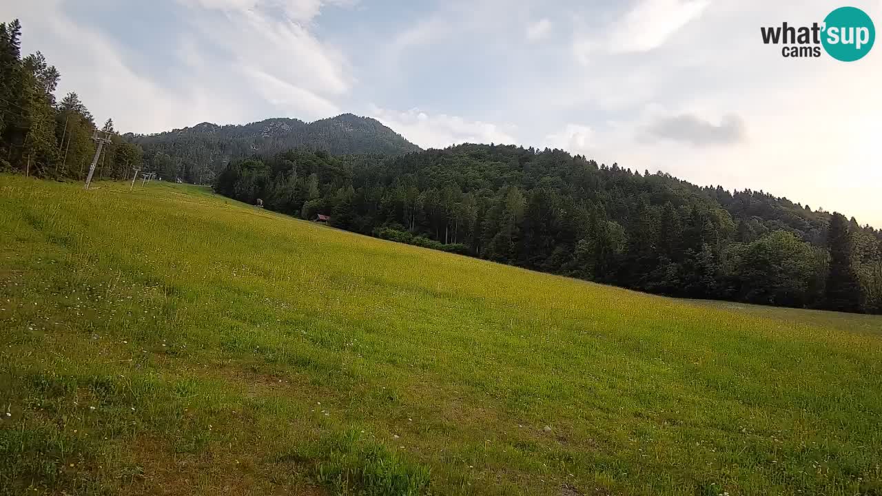 Kranjska Gora Station de ski | Brsnina