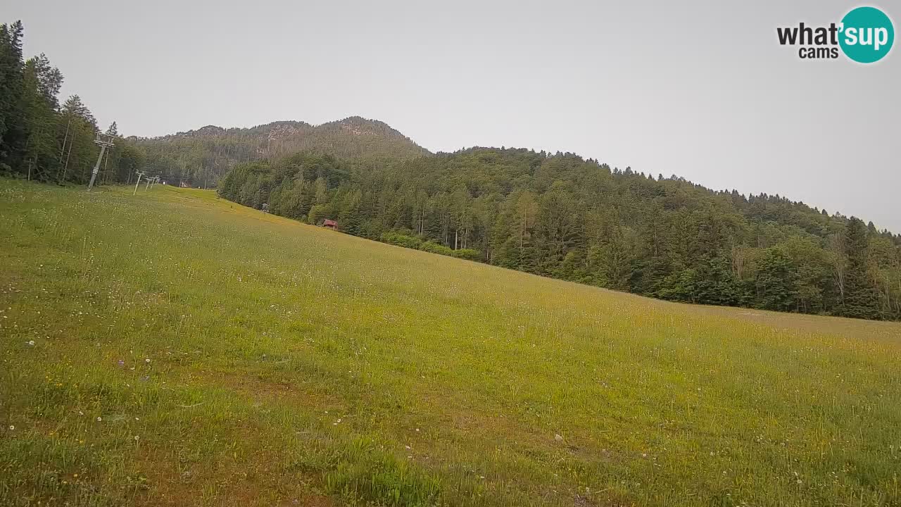 Comprensorio sciistico Kranjska Gora | Brsnina