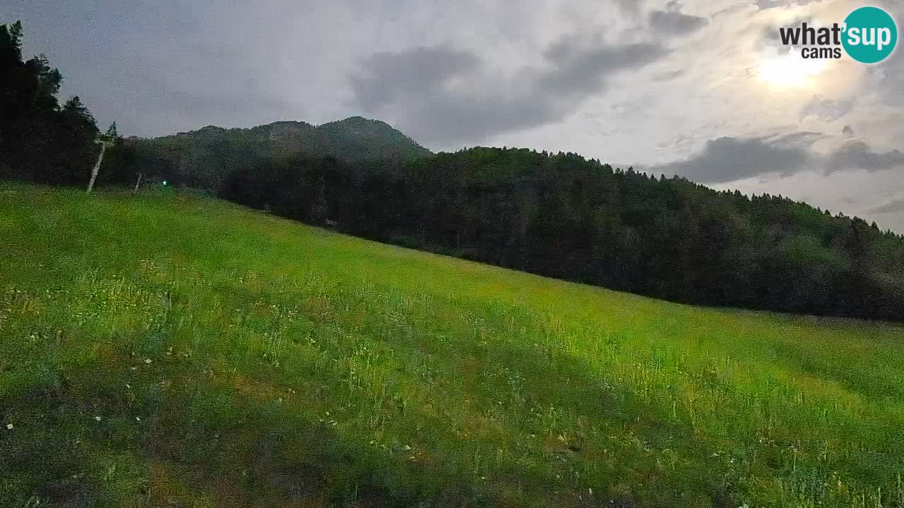 Ski Kranjska Gora | Brsnina