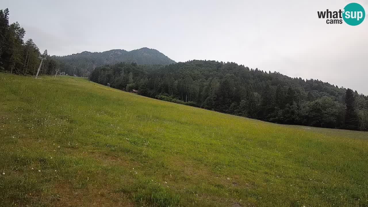 RTC Skigebiet Kranjska Gora | Brsnina