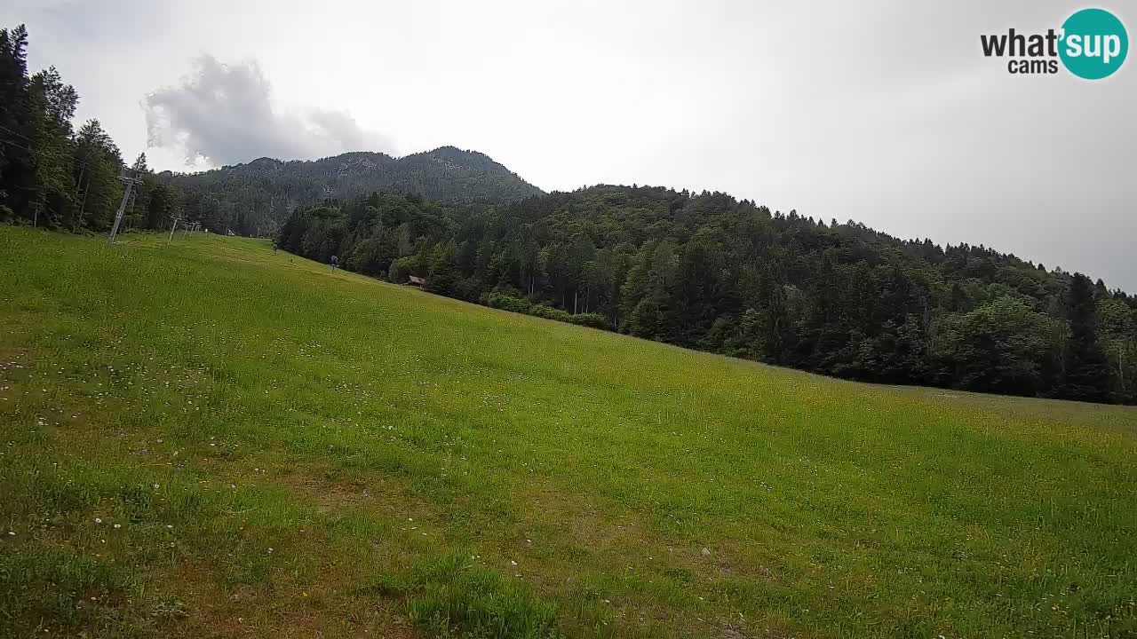 Comprensorio sciistico Kranjska Gora | Brsnina
