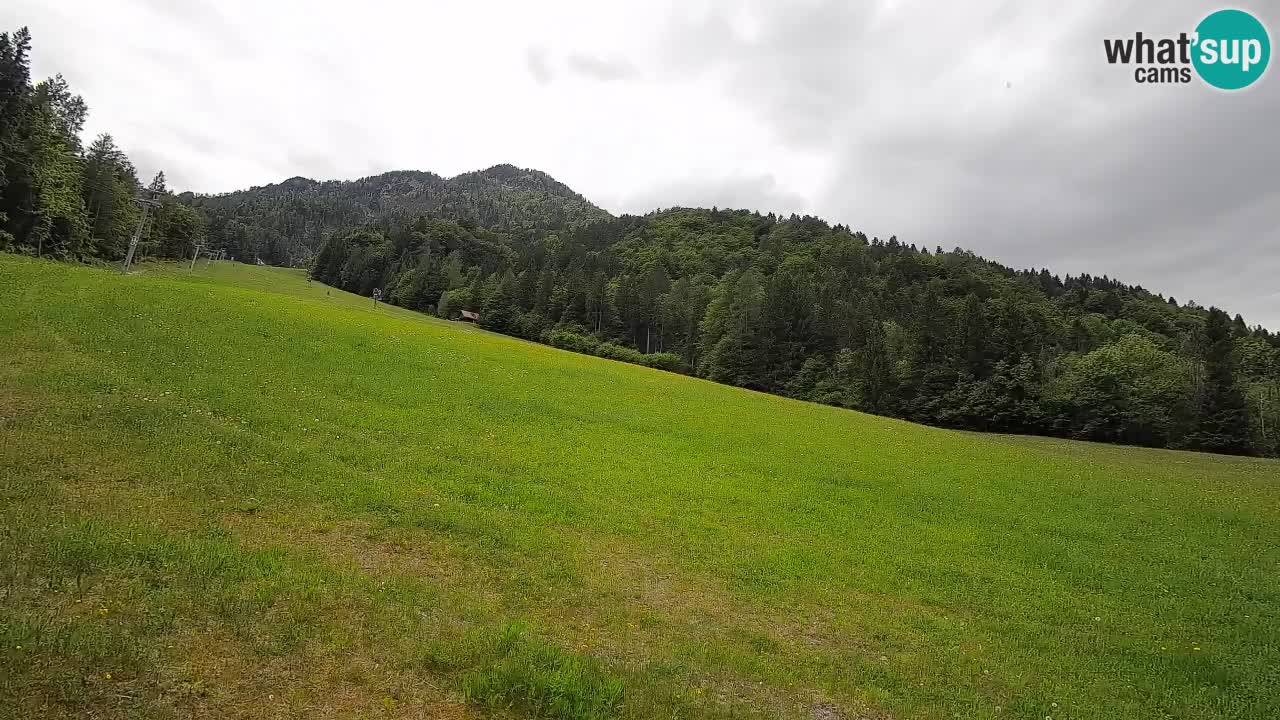 Kranjska Gora SKIJANJE | Brsnina