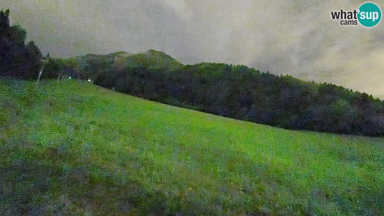 Comprensorio sciistico Kranjska Gora | Brsnina