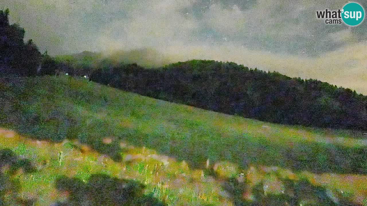 RTC Kranjska Gora | Brsnina