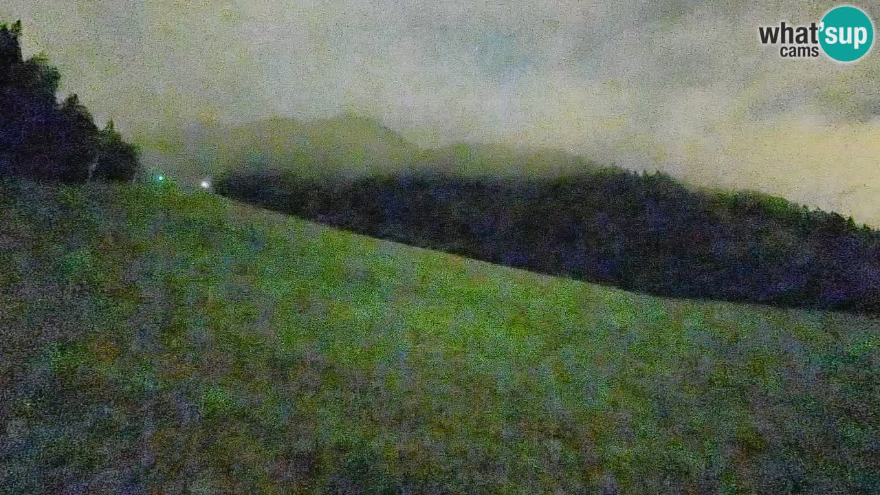 Comprensorio sciistico Kranjska Gora | Brsnina
