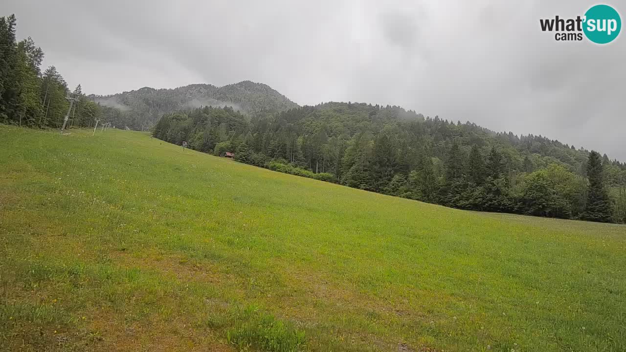 RTC Skigebiet Kranjska Gora | Brsnina