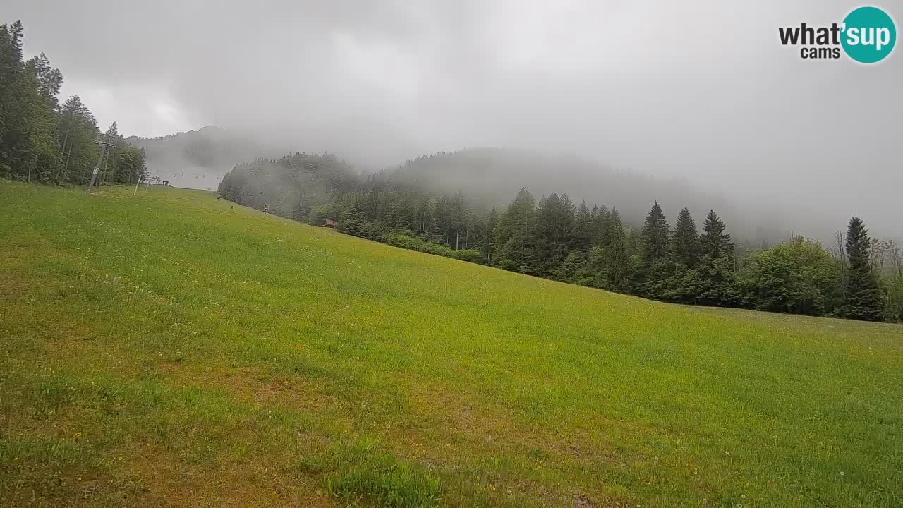 Kranjska Gora SKIJANJE | Brsnina