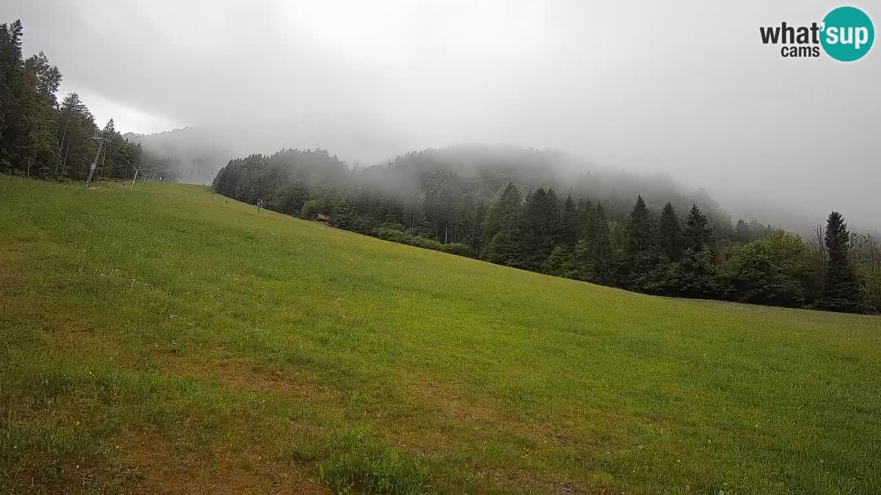 RTC Kranjska Gora | Brsnina