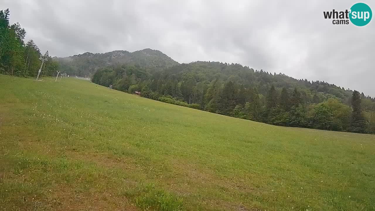 Kranjska Gora Station de ski | Brsnina