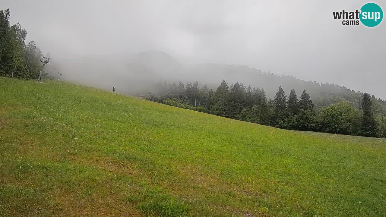 Kranjska Gora Station de ski | Brsnina