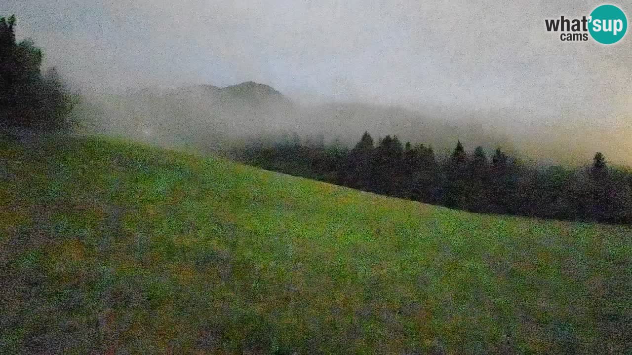 RTC Skigebiet Kranjska Gora | Brsnina