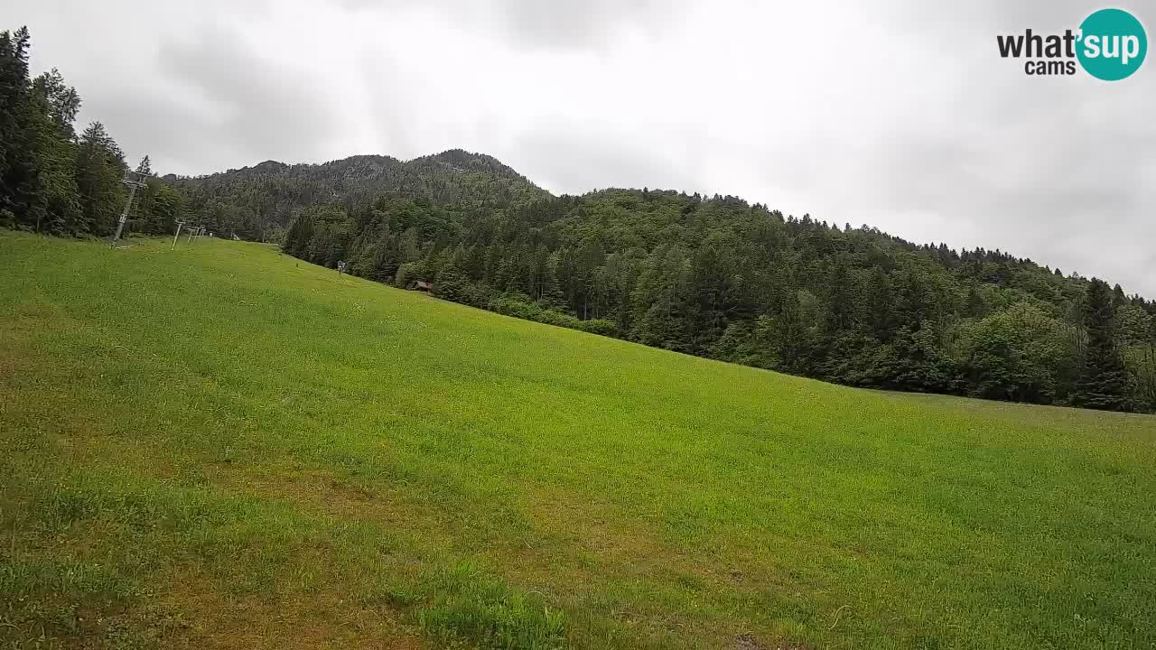 Esquí Kranjska Gora | Brsnina