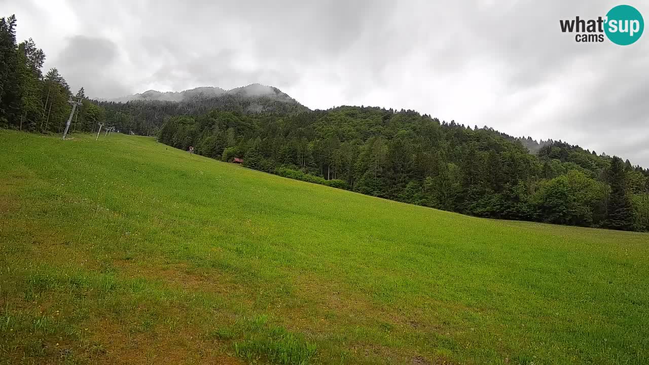 Kranjska Gora Station de ski | Brsnina