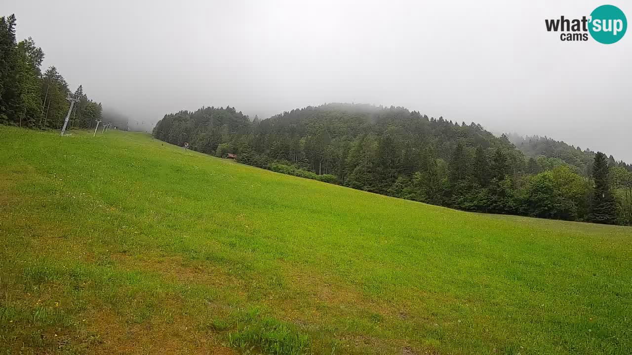 Comprensorio sciistico Kranjska Gora | Brsnina