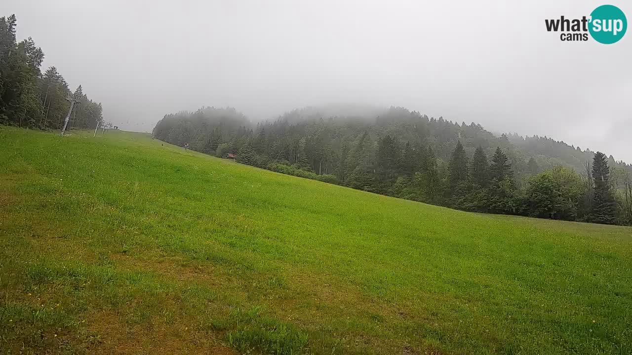 RTC Skigebiet Kranjska Gora | Brsnina