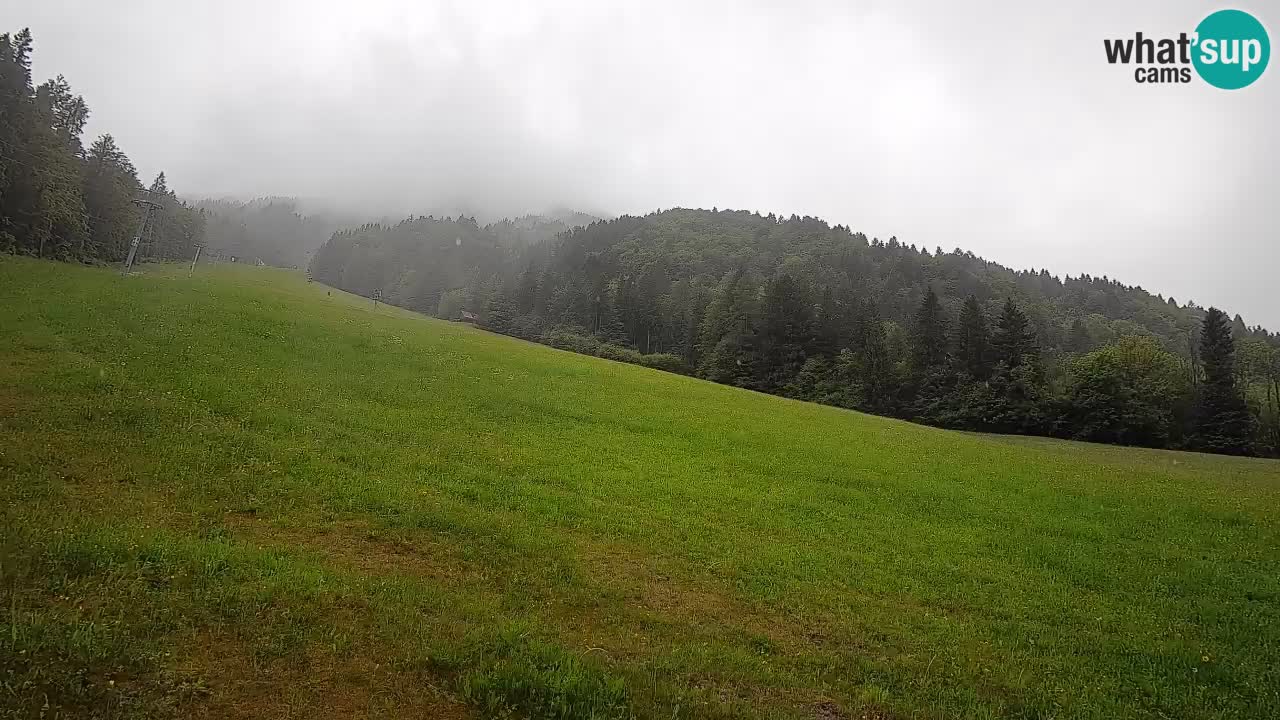 Ski Kranjska Gora | Brsnina
