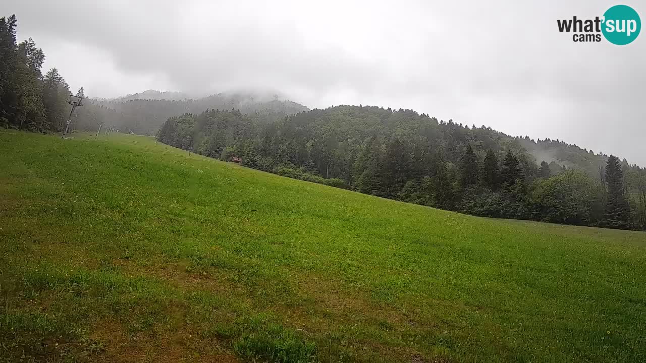 Kranjska Gora SKIJANJE | Brsnina