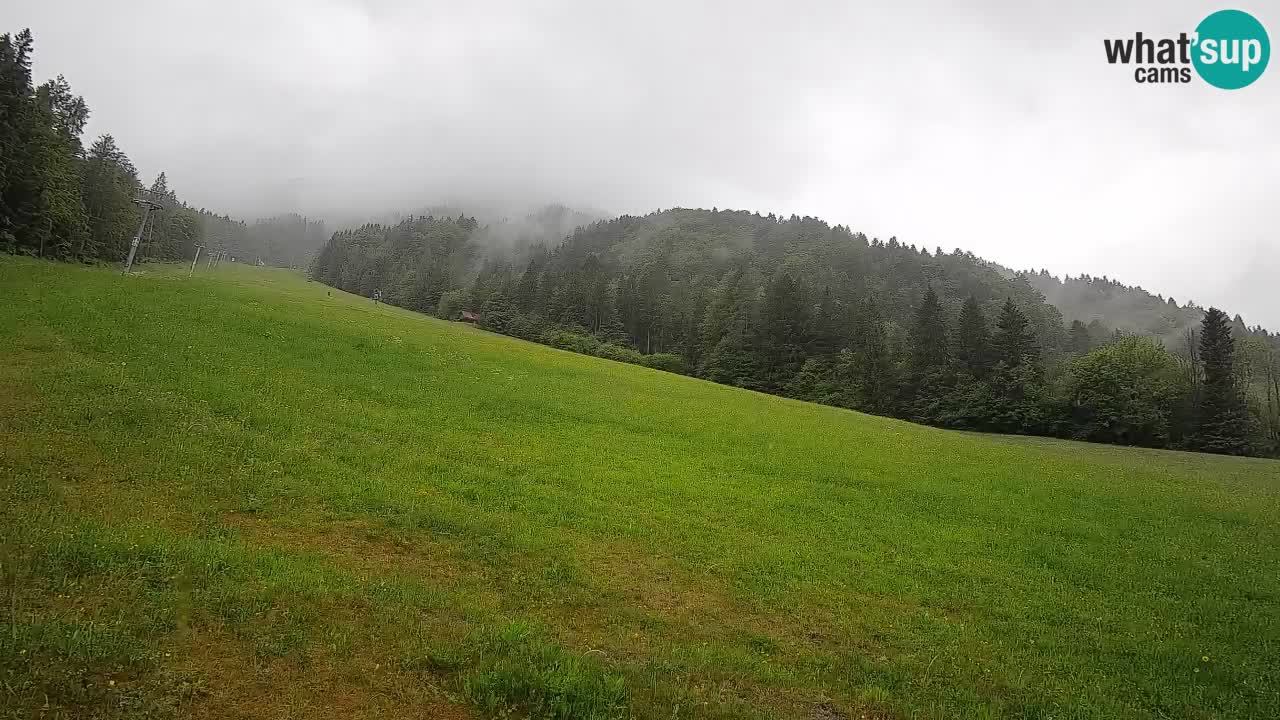 RTC Kranjska Gora | Brsnina