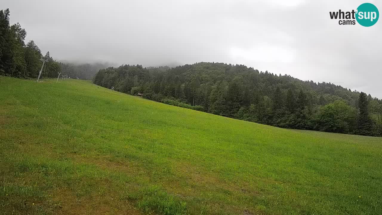 Kranjska Gora SKIJANJE | Brsnina