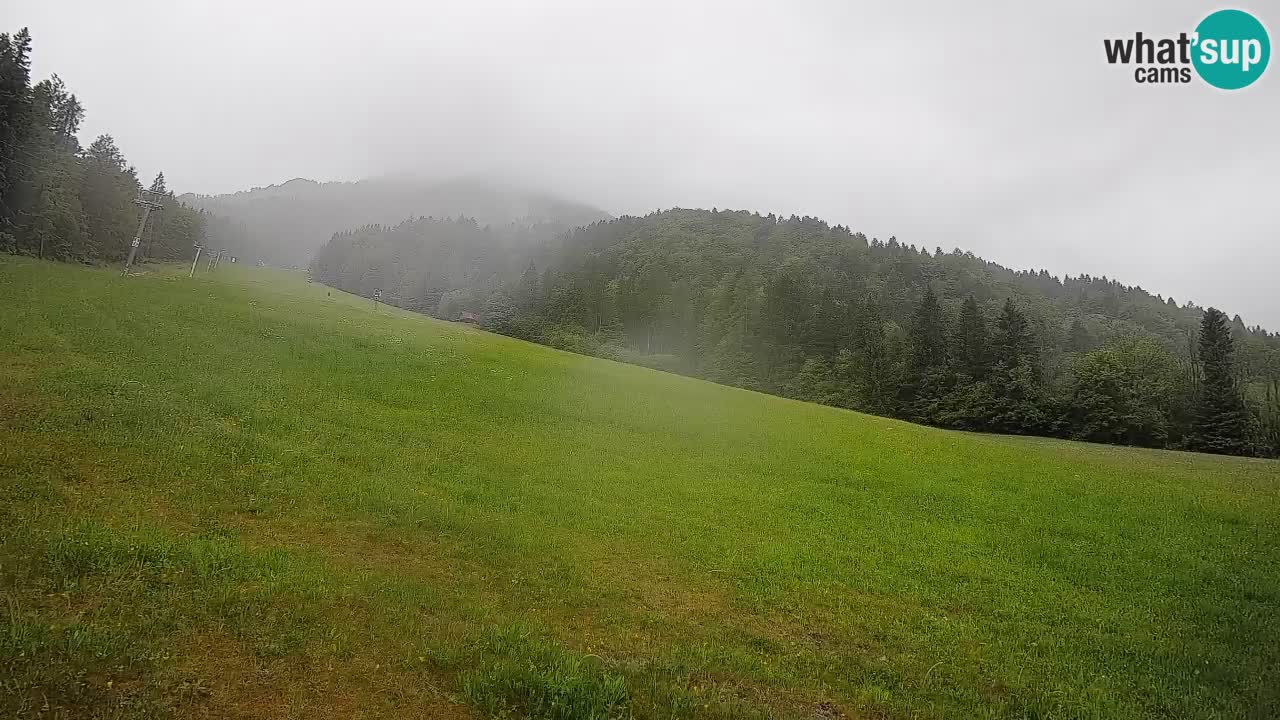 Esquí Kranjska Gora | Brsnina