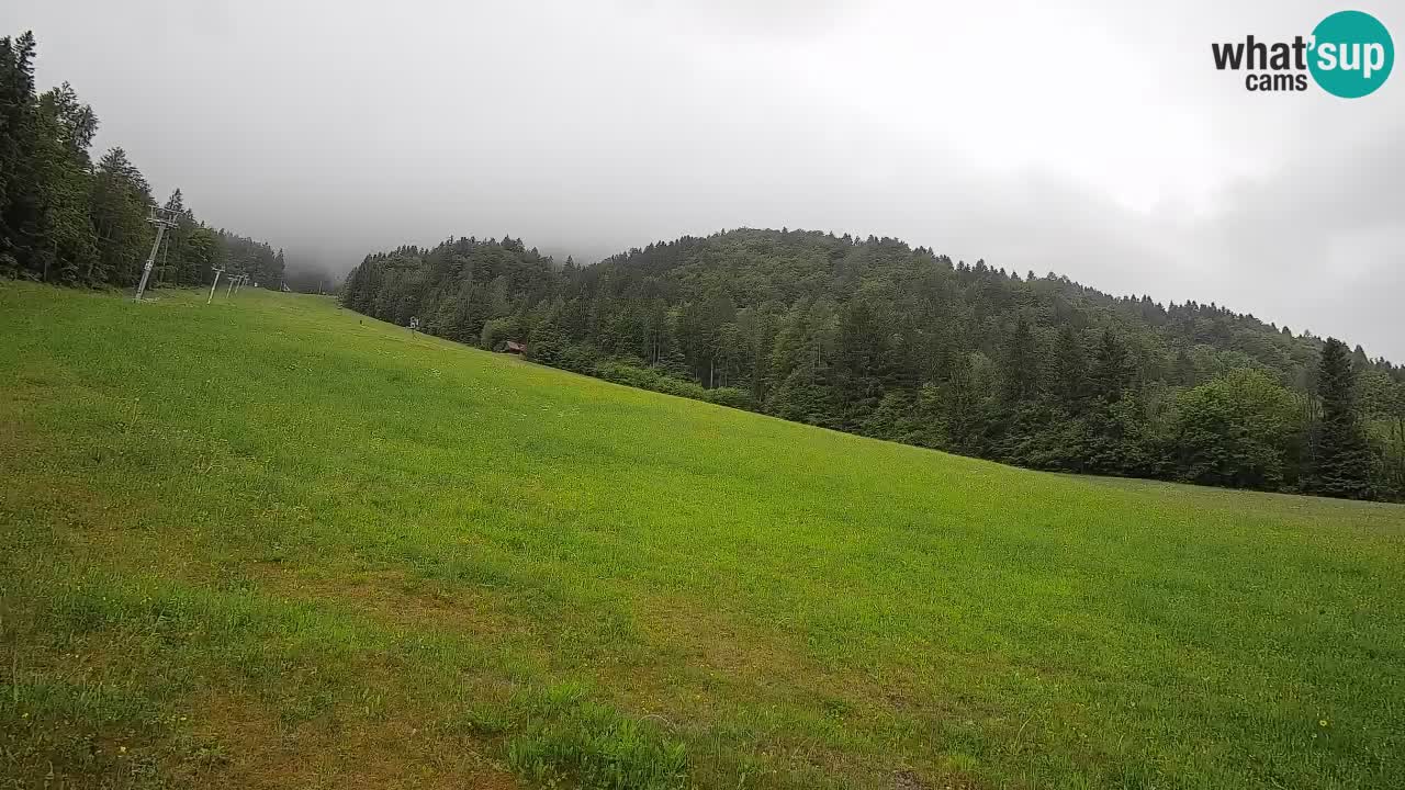 RTC Kranjska Gora | Brsnina