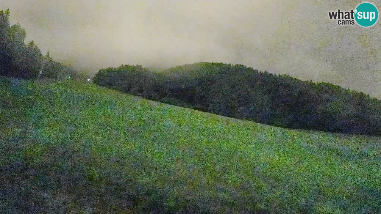 Comprensorio sciistico Kranjska Gora | Brsnina