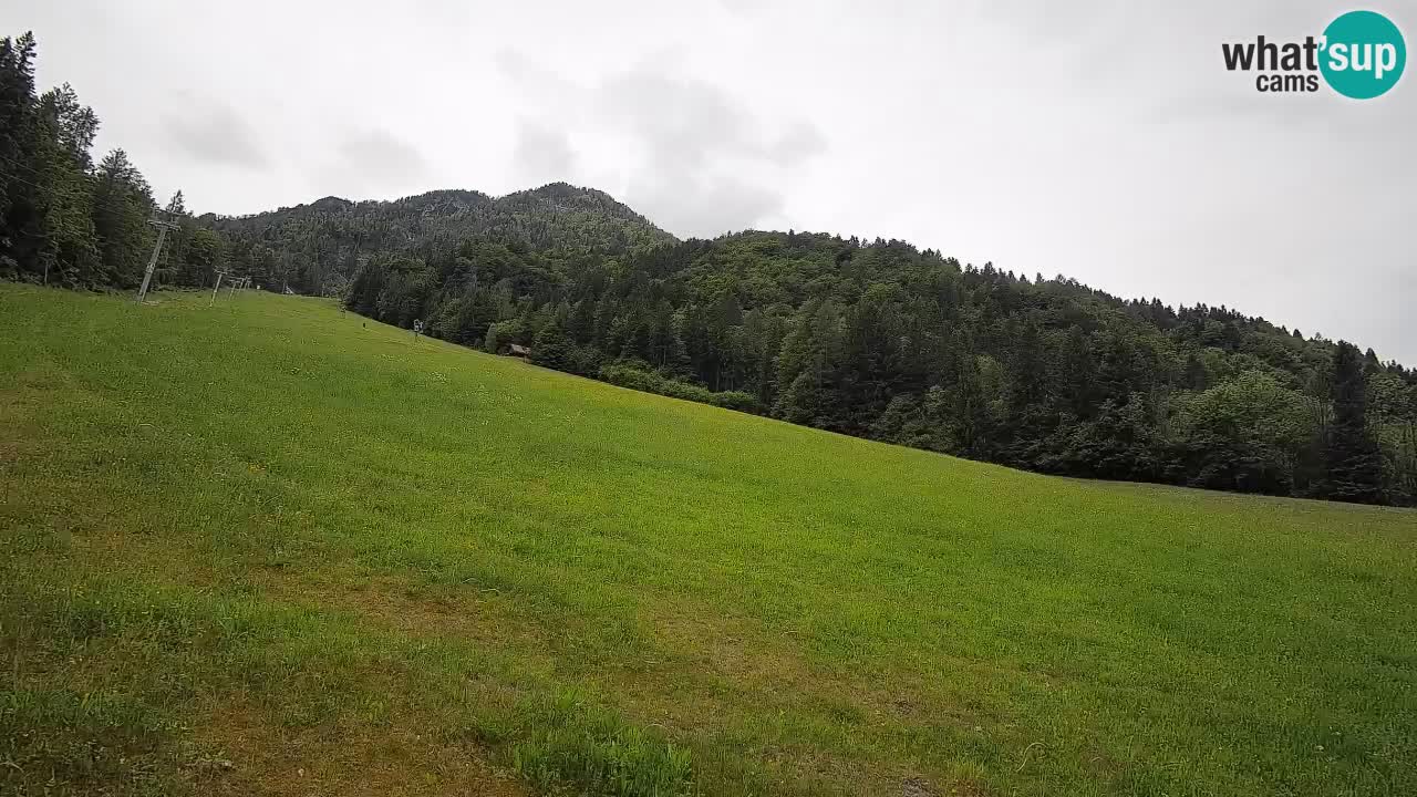 Kranjska Gora SKIJANJE | Brsnina