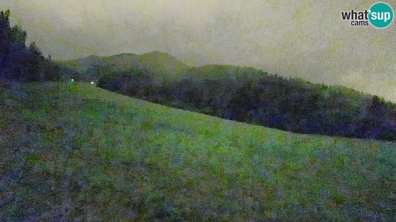 Ski Kranjska Gora | Brsnina