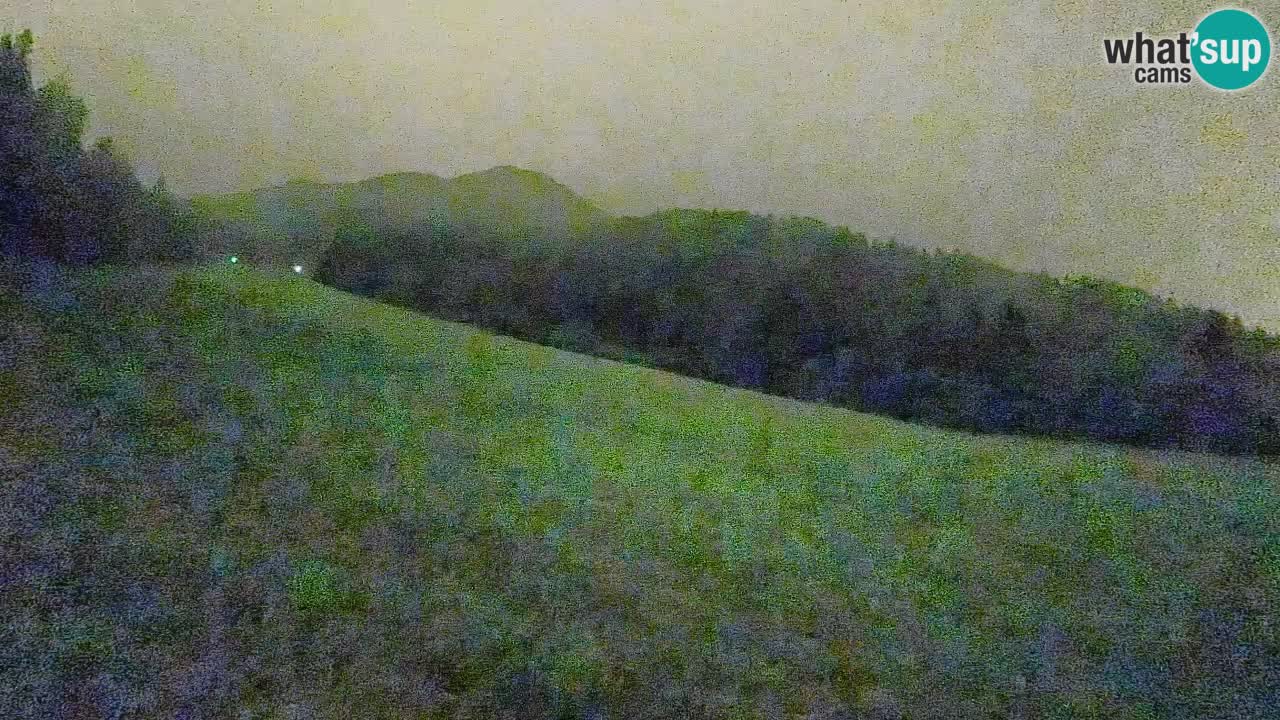 Comprensorio sciistico Kranjska Gora | Brsnina