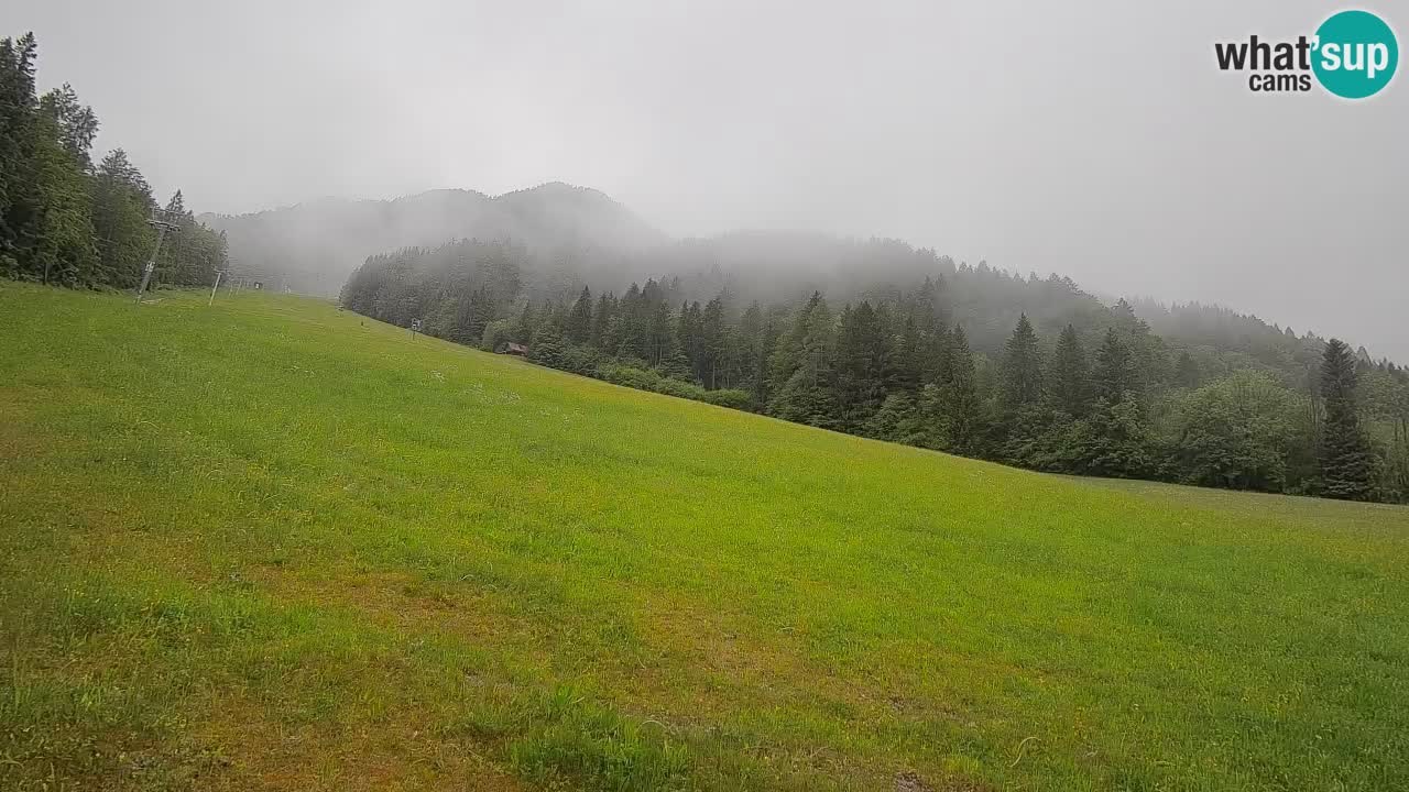 Comprensorio sciistico Kranjska Gora | Brsnina