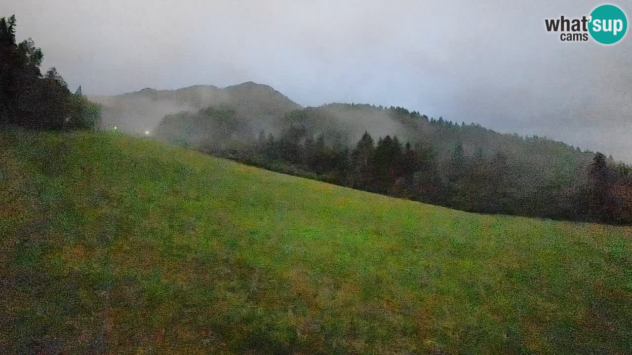 RTC Kranjska Gora | Brsnina