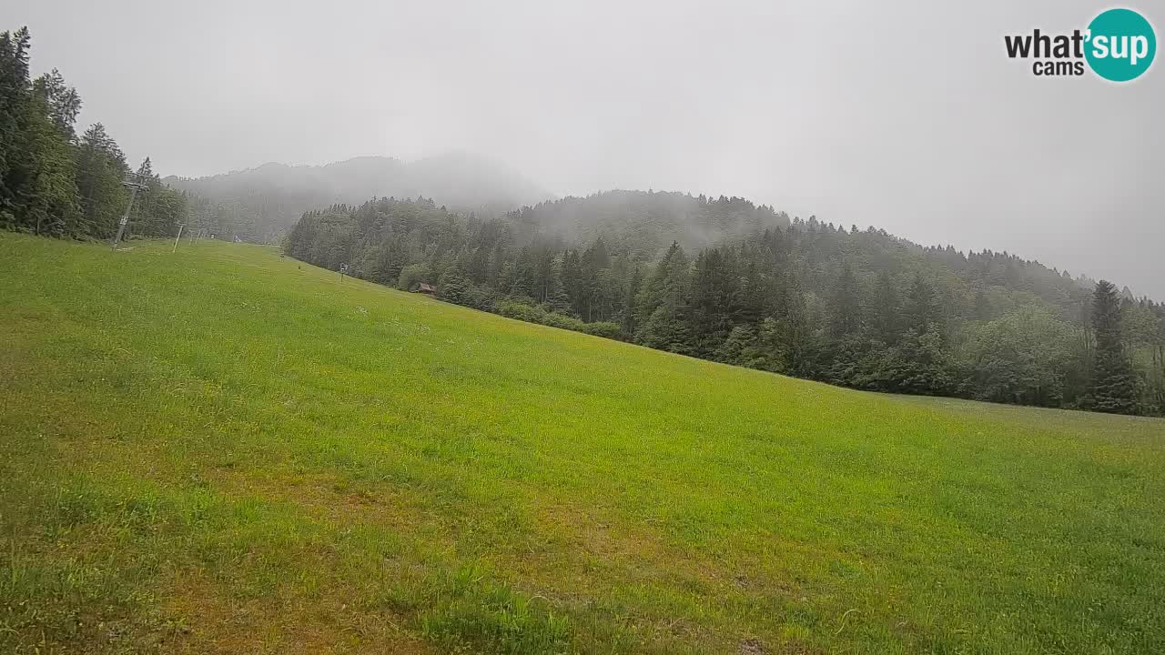 RTC Kranjska Gora | Brsnina